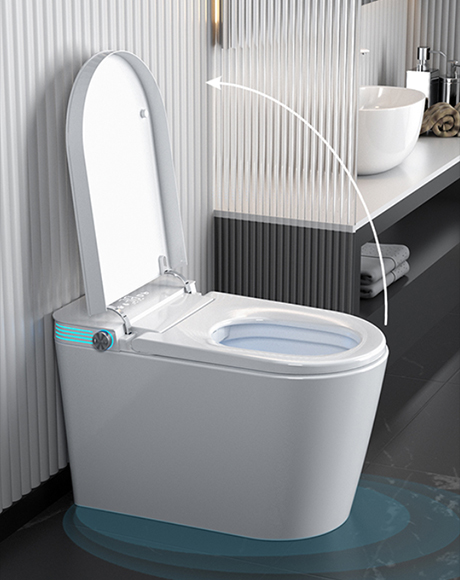 Ceramic toilet