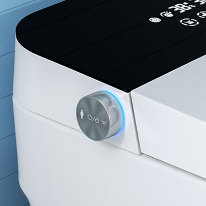 manual flushing smart toilet