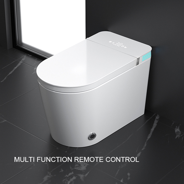 smart toilet with dual flush system