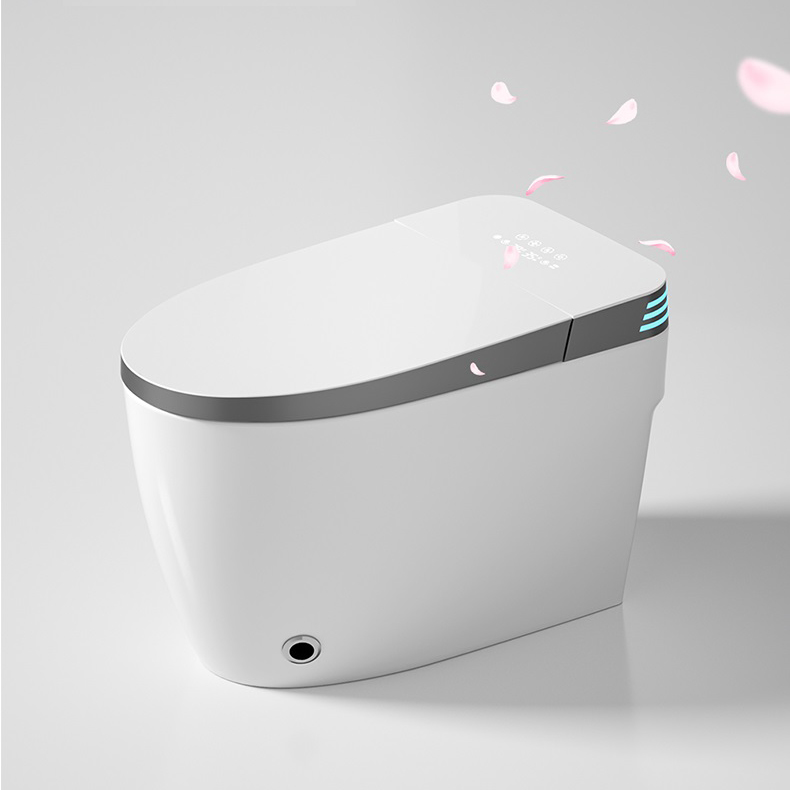 Floor-standing smart toilet GLY-S028