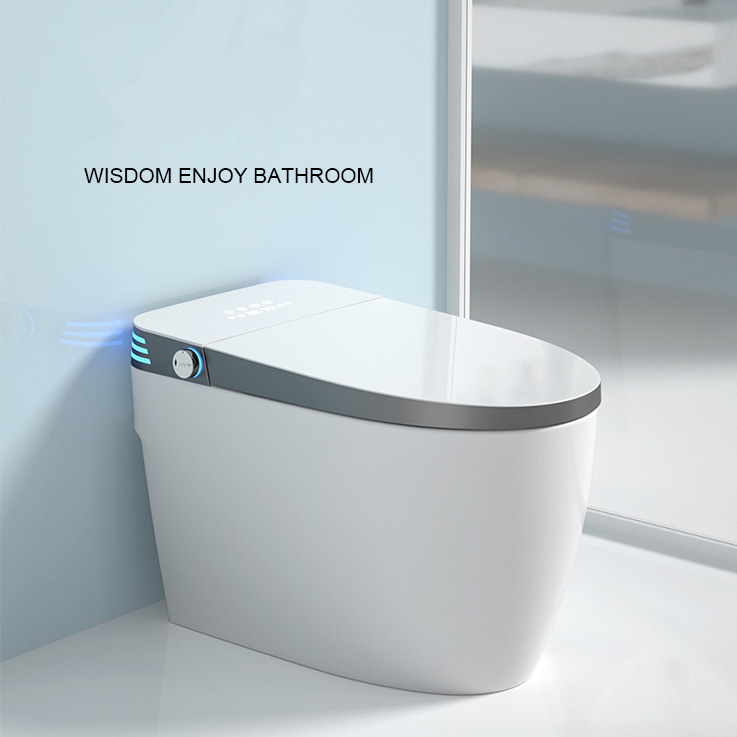 best smart toilet with self-cleaning bidet nozzle