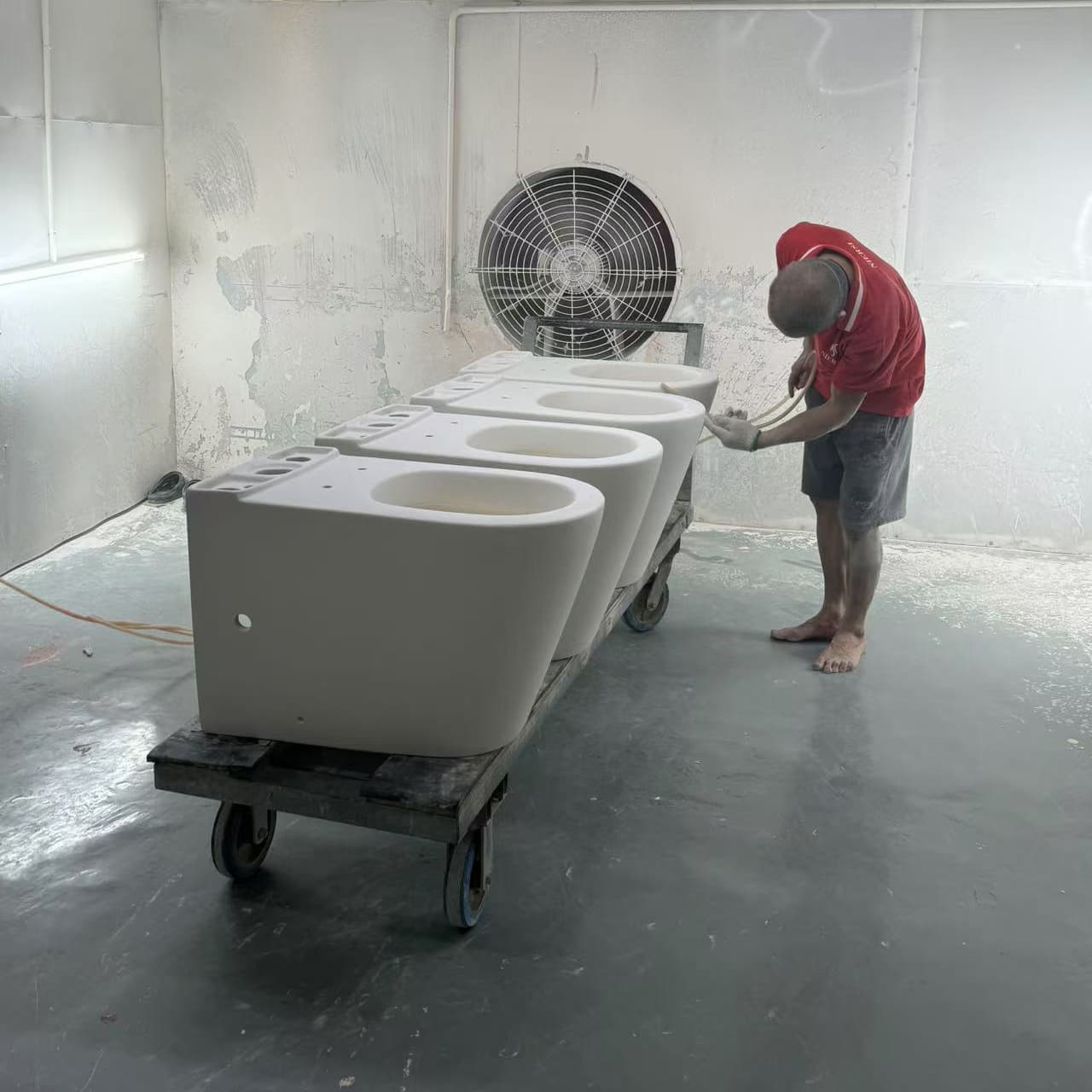 Toilet Bowl